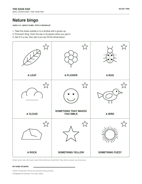 Preview of the Nature bingo printable