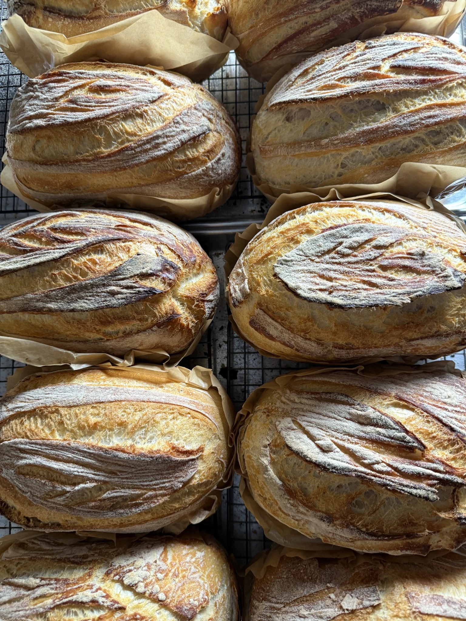 Freshly baked country sourdough loaves from Robert’s oven